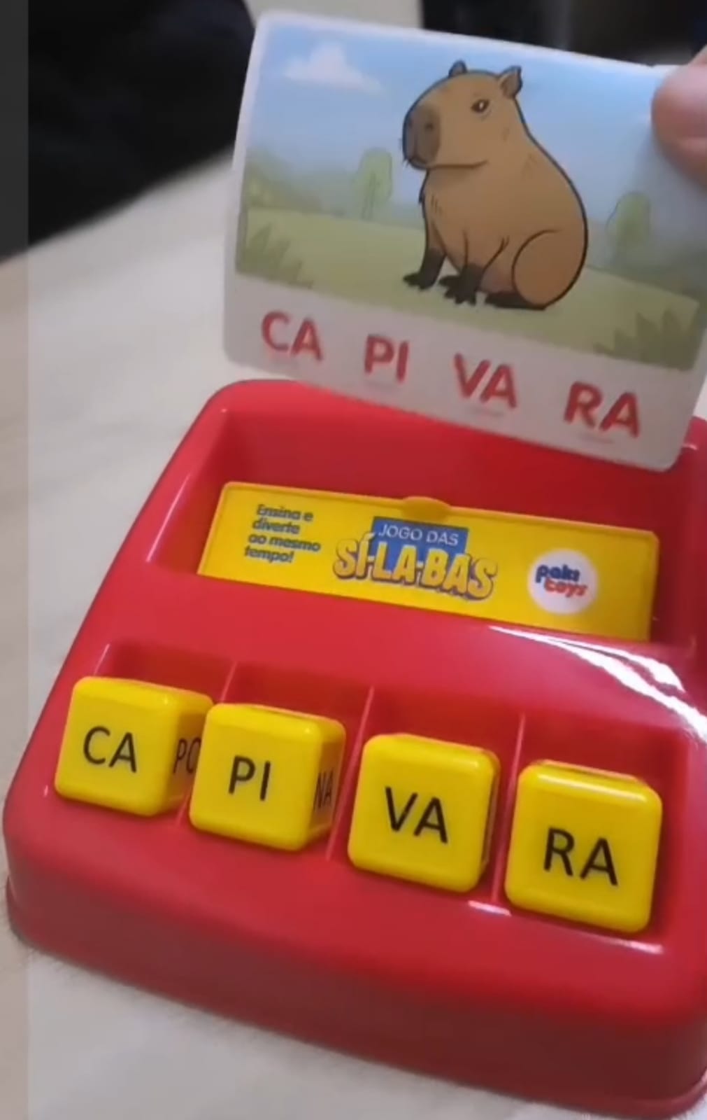 Registro do espaço e das atividades psicopedagógicas